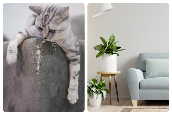 Как отучить кота драть мебель - расскажут эксперты магазина МебельОК